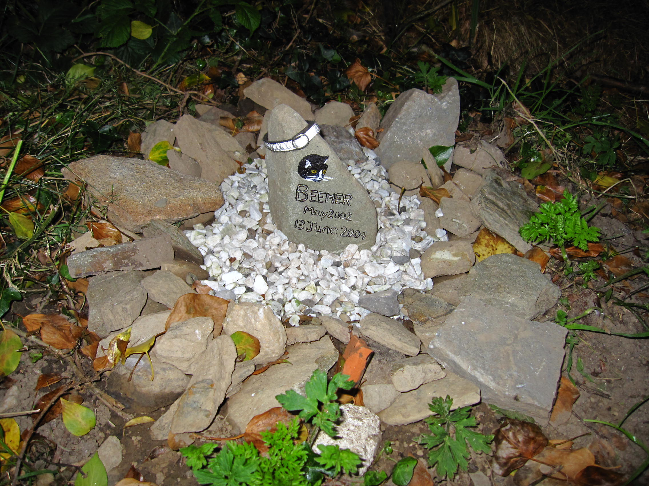 Beemer's Grave